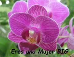 Mimo Mujer BIG