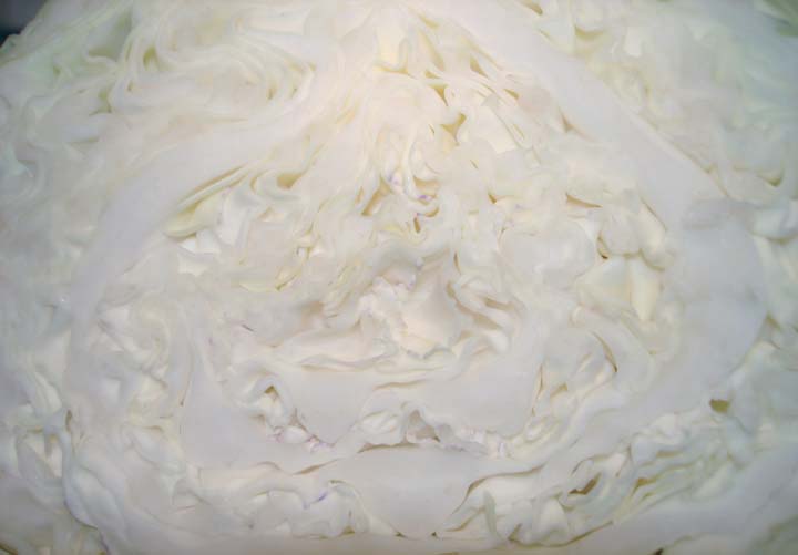 [cabbage+section]