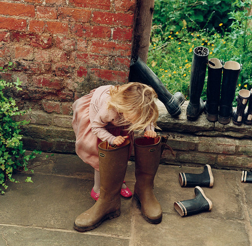 Which tumblrs have you all