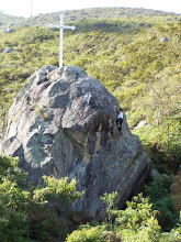 Piedra de Palmira