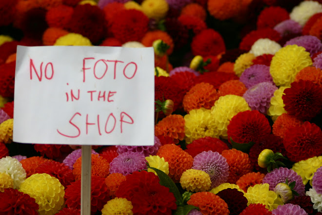 flores de Amsterdam