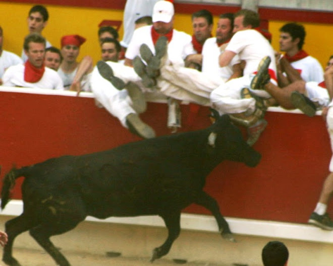 REPELANDO LA BARRERA