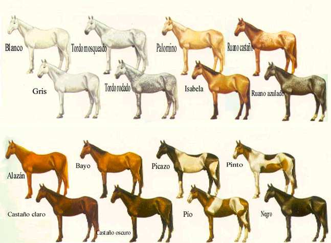 COLOR EXISTEN color existen: