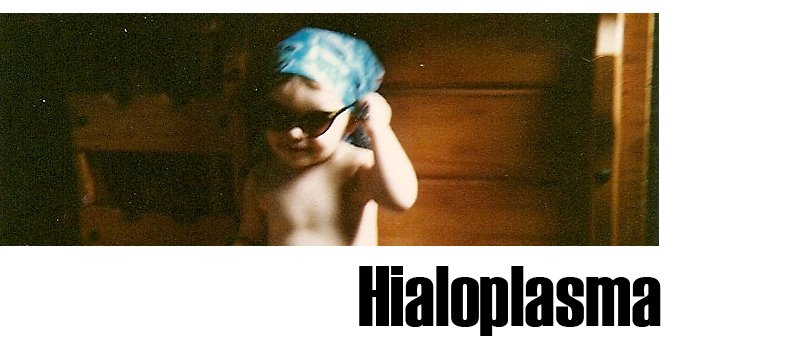 Hialoplasma