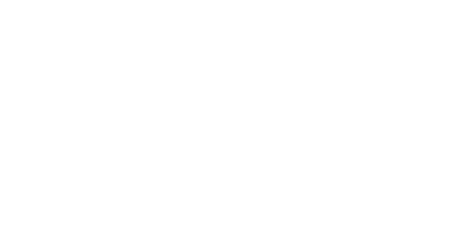 The Fly Photo