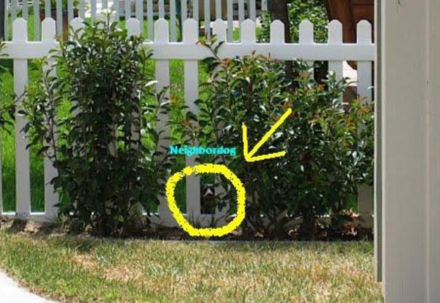 [neighbor+enhanced2.JPG]