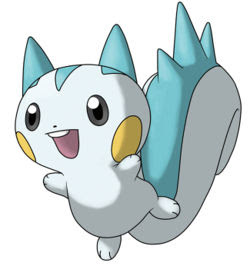 250px-Pachirisu1.jpg