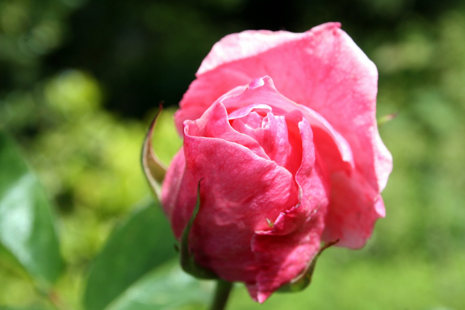 [IMG_8676.JPG]
