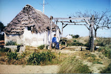 Barraca a la Tancada