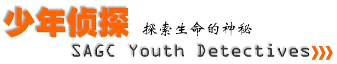 少年侦探 Chinese Youth Detectives [CYD]