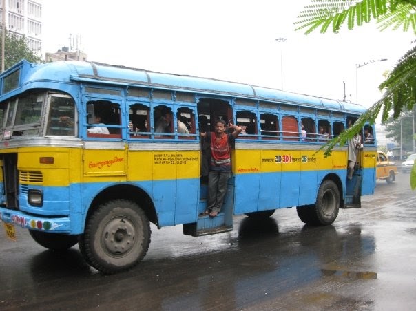 Picture Of The Week #72