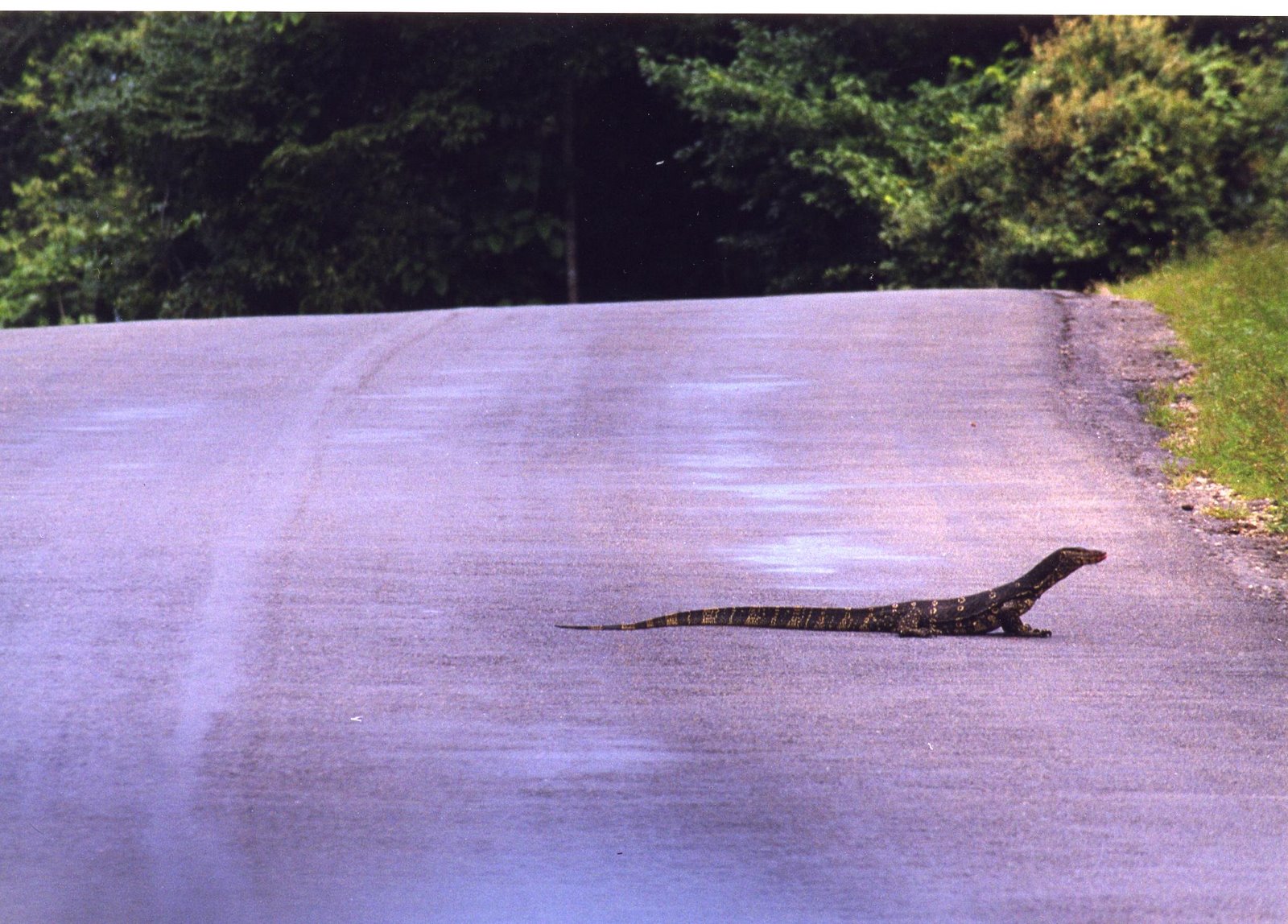 [File0218.jpg]
