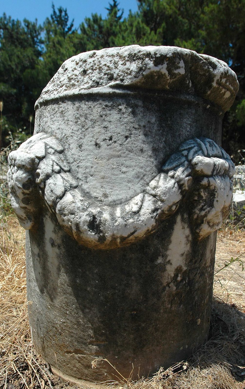 [aask04.JPG]
