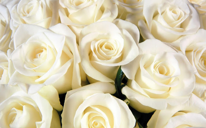 White Roses for Your Loss