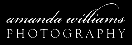 Amanda Williams Photography