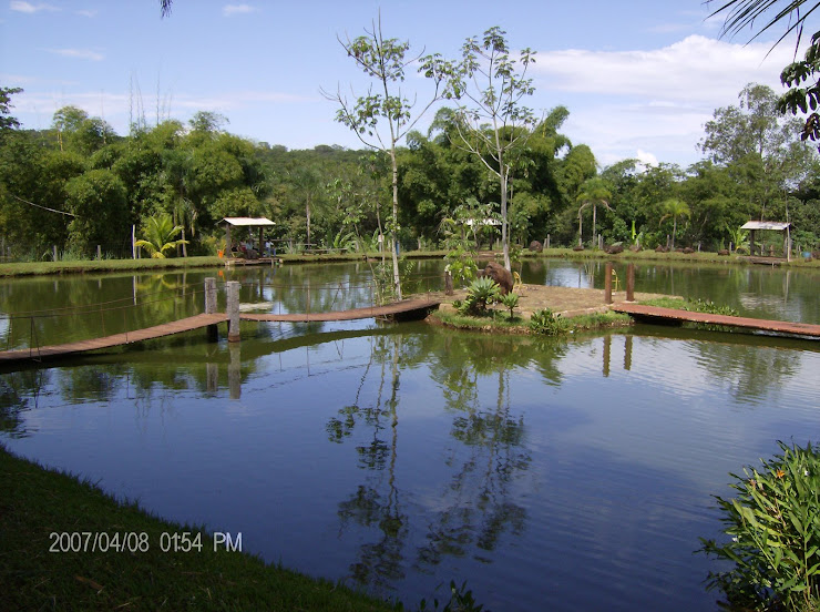 Lago do Pontal do Urutal