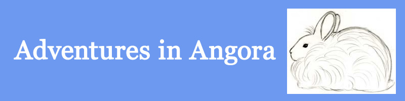 Adventures in Angora