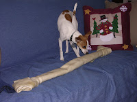 biggest rawhide bone