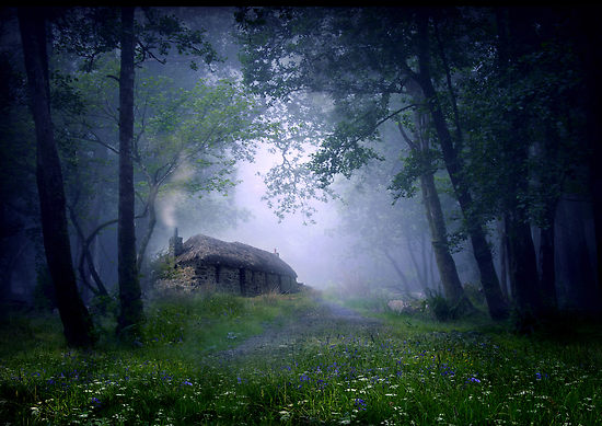 [1000168-2-the-cottage-in-the-woods.jpg]