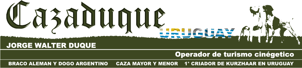 CAZADUQUE-URUGUAY