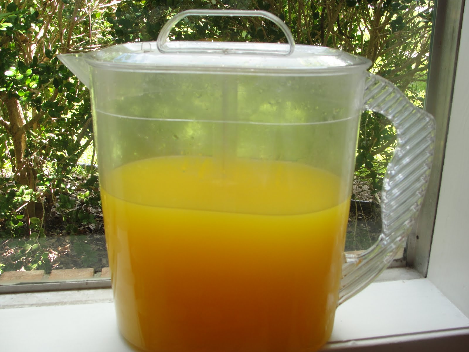 Imperfectly Beautiful Homemade Popsicles