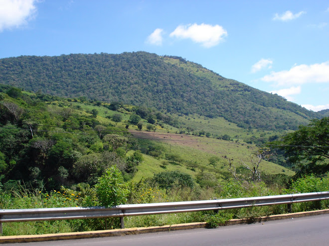 Typical Nicaraguan countryside