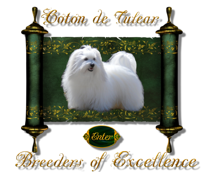 Visit The Coton de Tulear Breeders of Excellence