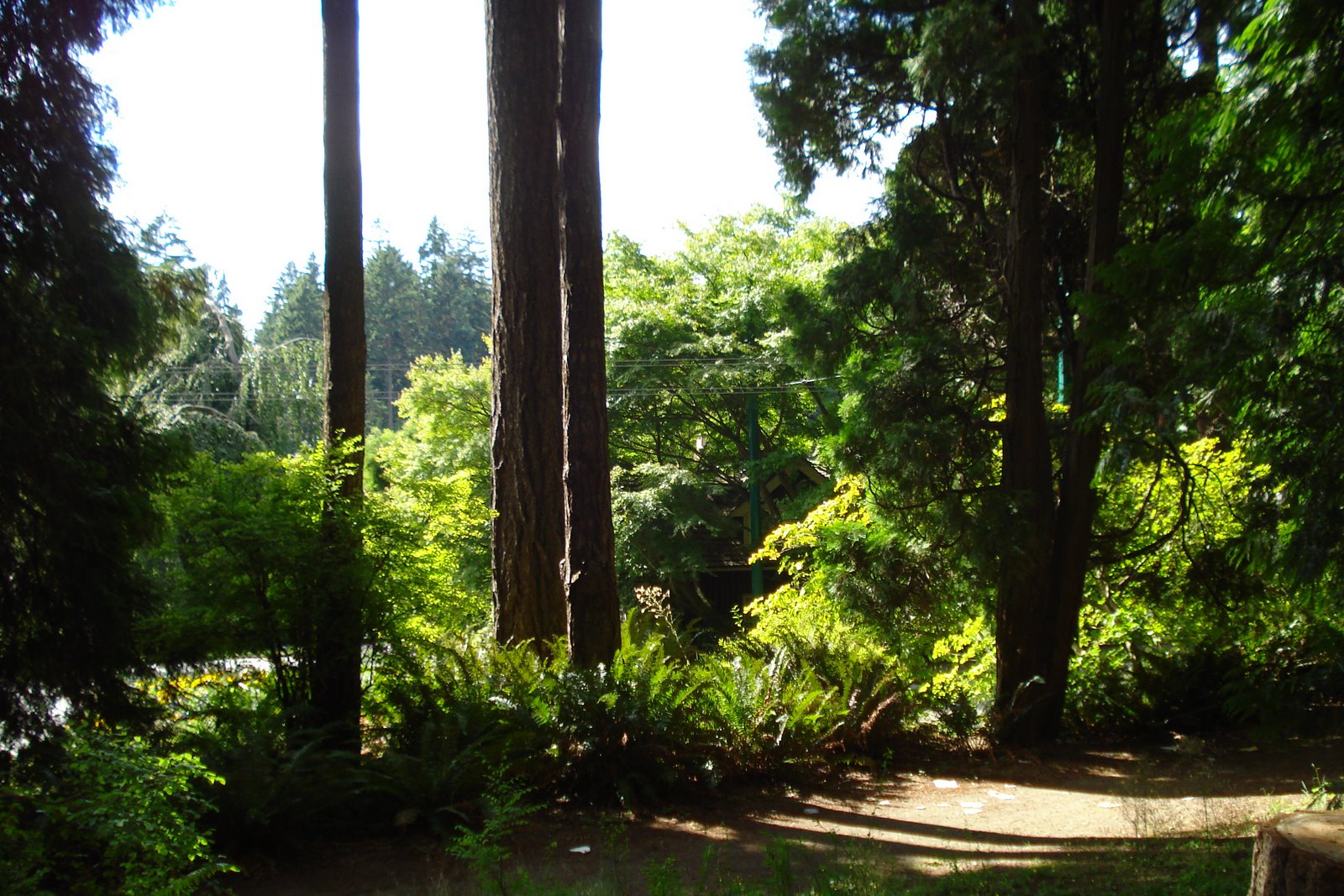 [DSC02377.JPG]