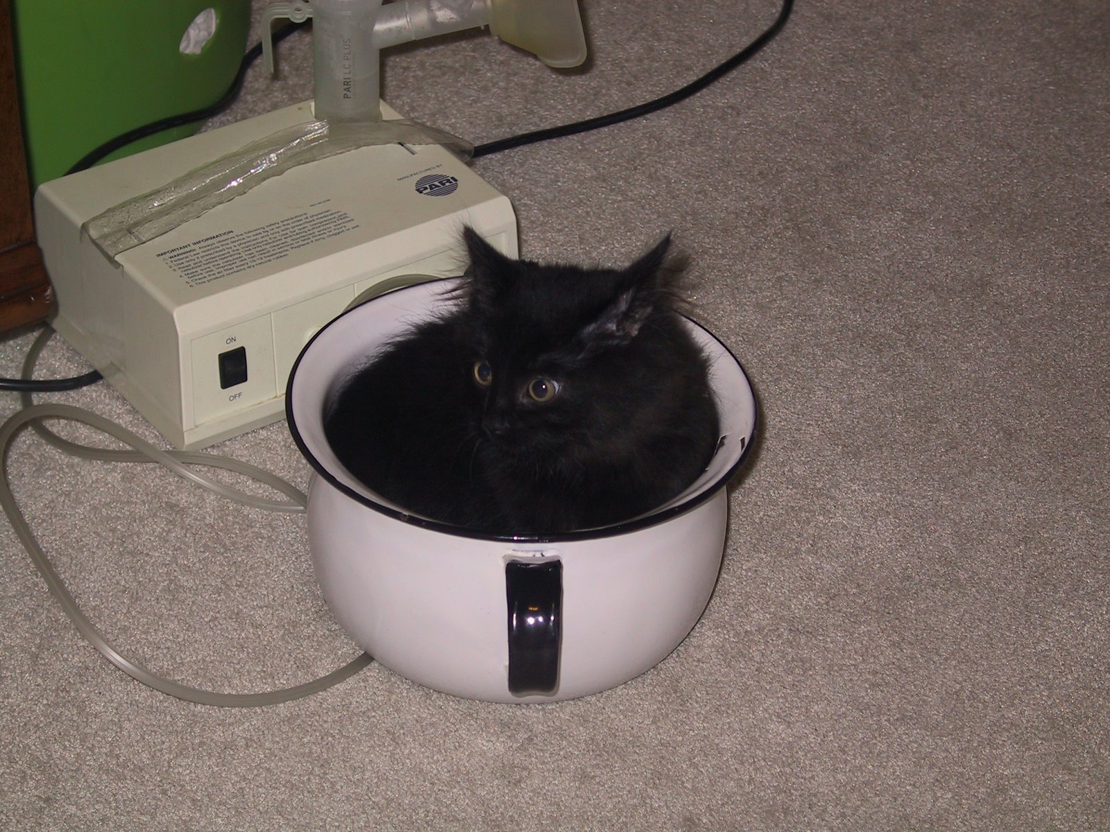 [Harry+Pot.JPG]
