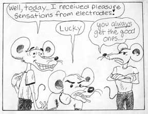 [rats1.jpg]