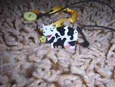 crazy cow