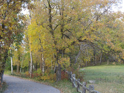 Paul Bunyan Trail