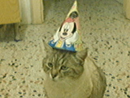 RAMSES: il suo compleanno