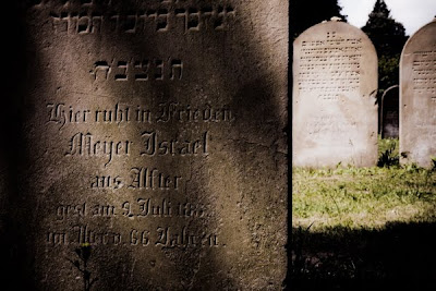 A Pic A Day Sometimes Two 2010