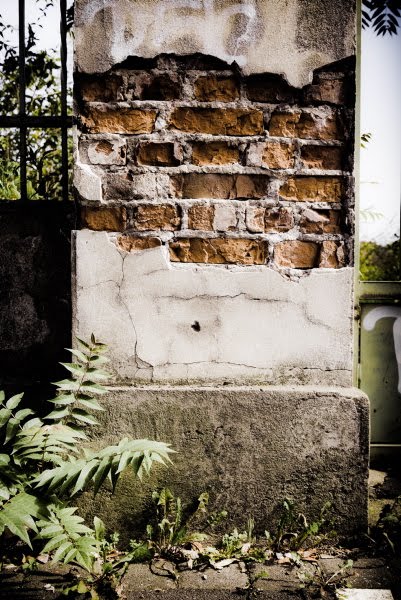 A Pic A Day Sometimes Two 2010