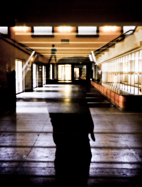 A Pic A Day Sometimes Two 2010