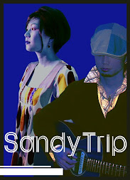 Sandy Trip