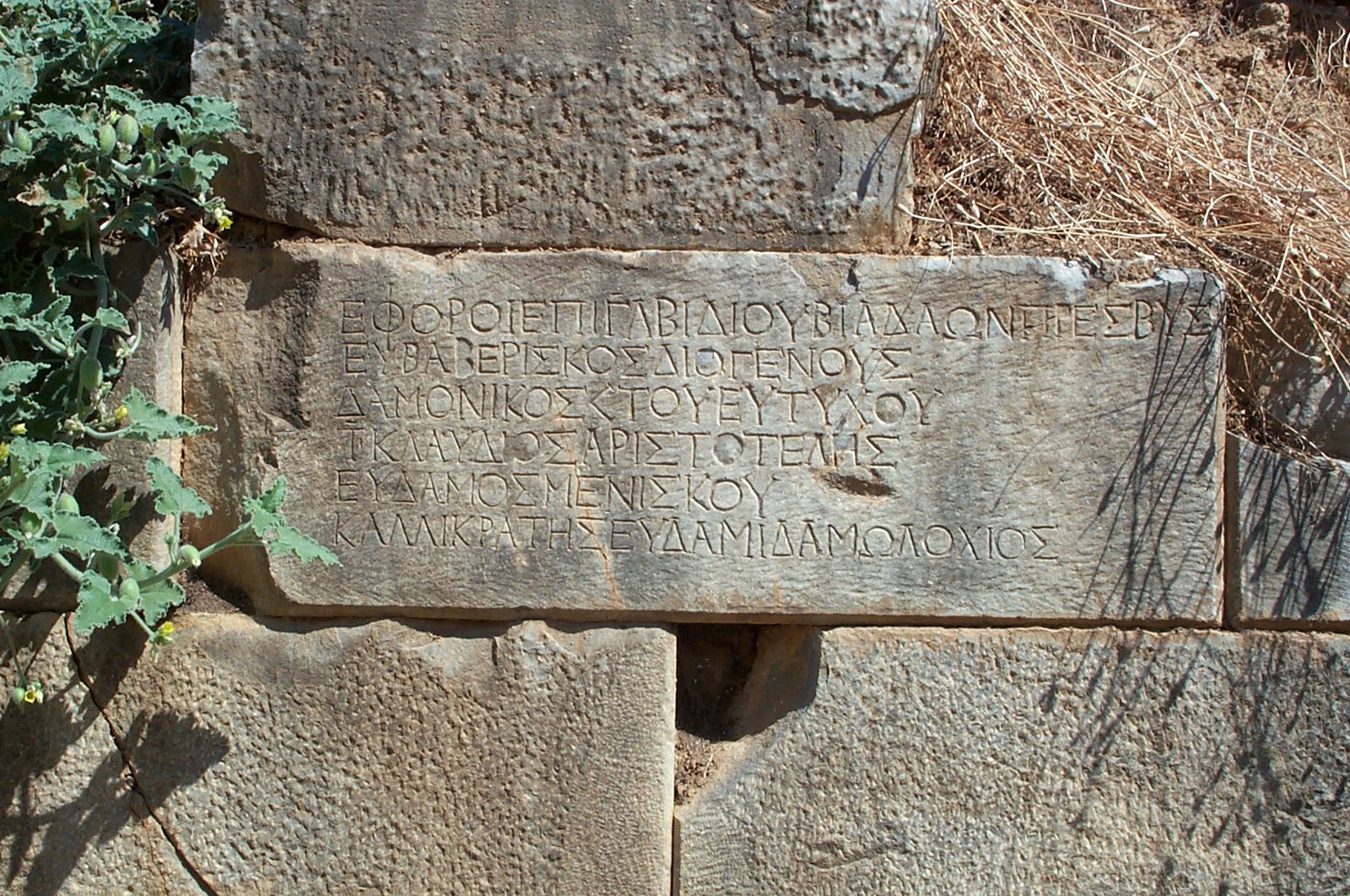 [Sparta_3832.jpg]