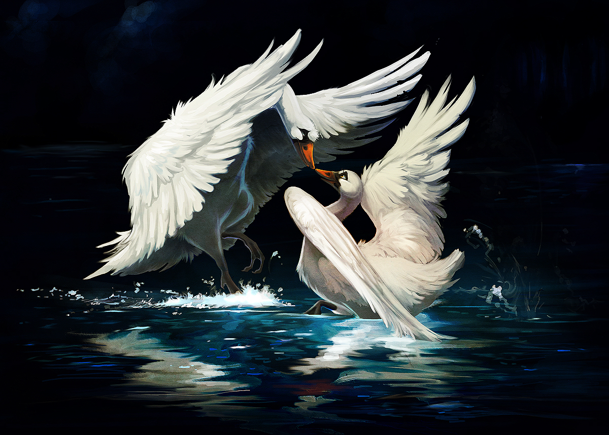 swan lake Swan lake tells the story of enchanted love between a swan maiden and a prince and their battle with an evil sorcerer the poetry of this timeless ballet is the swan. swan lake Swan lake tells the story of enchanted love between a swan maiden and a prince and their battle with an evil sorcerer the poetry of this timeless ballet is the swan.