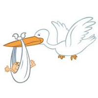 the-3rs---reading-ranting--recipes.blogspot.com stork delivering baby