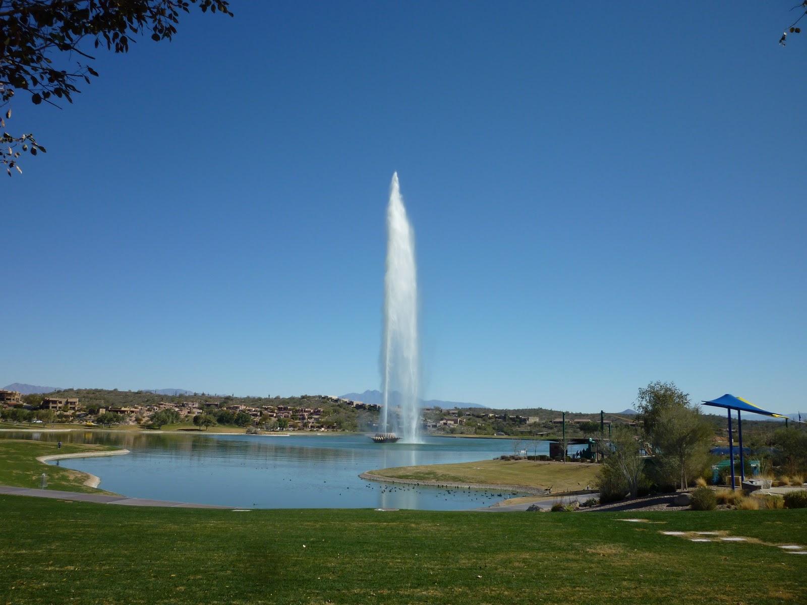 Lori Blaine Scottsdale, Arizona The Desert Adventure Fountain Hills