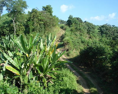 bandarban, chander gari ride, landscape, ruma bazaar