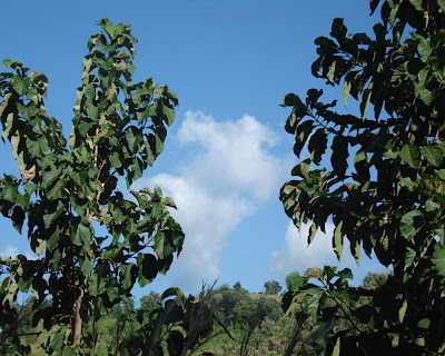 bandarban, chander gari ride, landscape, ruma bazaar
