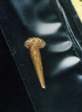 Gold nail found at the site