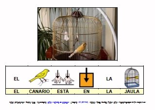 [AVES.jpg]