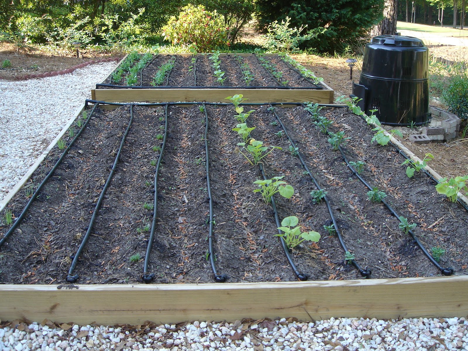 Going Green! Organic Gardening