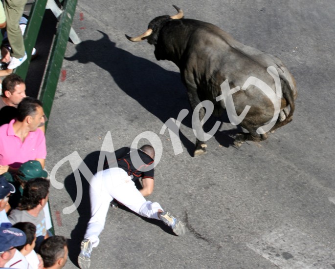 [calasparra+4Á‚º.jpg]