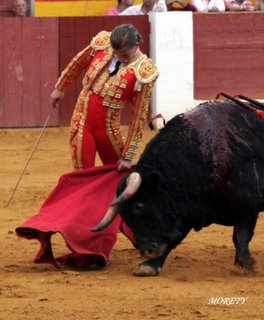 [REDUCIDA+TRINCHERAZO.jpg]