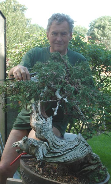 Chùm ảnh và hành trình chinh phục cây cây Bonsai Rocky Mountain Juniper, Juniperus scopulorum tao nhã của Walter Pall