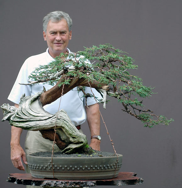 Chùm ảnh và hành trình chinh phục cây cây Bonsai Rocky Mountain Juniper, Juniperus scopulorum tao nhã của Walter Pall